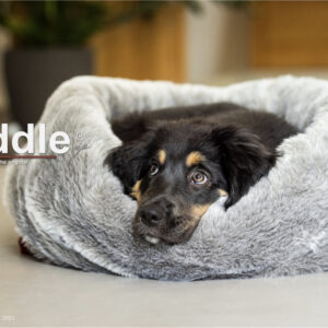 Cuddle Up – Hundebett